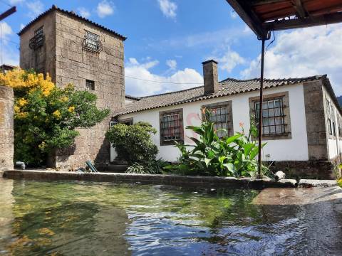 Quinta Histórica do século XIX com 8,4 ha em Roriz – Santo Tirso