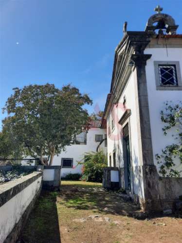 Quinta Histórica do século XIX com 8,4 ha em Roriz – Santo Tirso