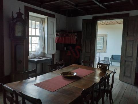 Quinta Histórica do século XIX com 8,4 ha em Roriz – Santo Tirso
