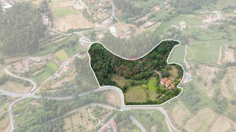 Quinta da Azenha – Encanto Rural em Lustosa, Lousada