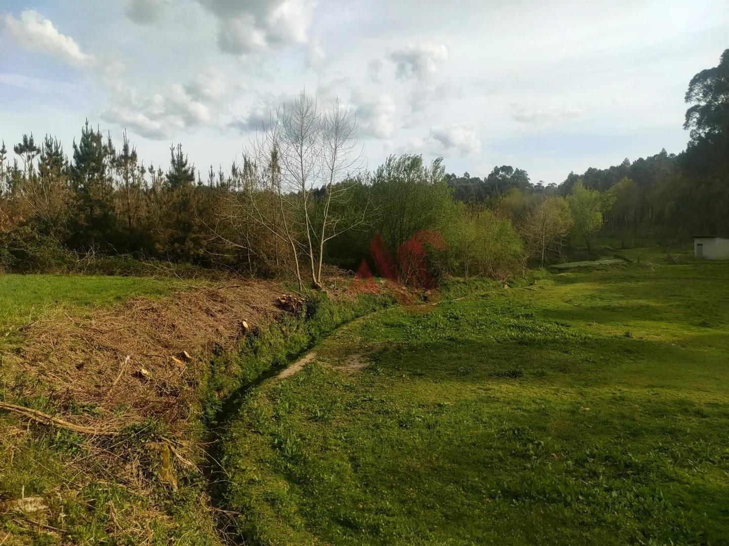 Terreno Rústico com 7.900 m2 em Seidões Fafe