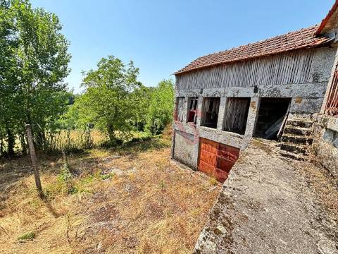 Quinta T8 - Ribeiros - Fafe