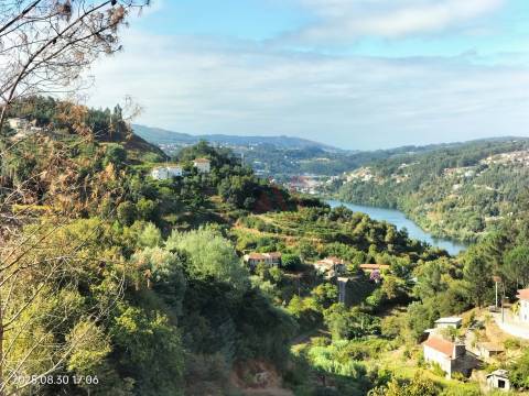 Terreno Rústico com 18.384 m2 em São Martinho de Sardoura – Castelo de Paiva