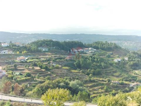 Terreno Rústico com 18.384 m2 em São Martinho de Sardoura – Castelo de Paiva
