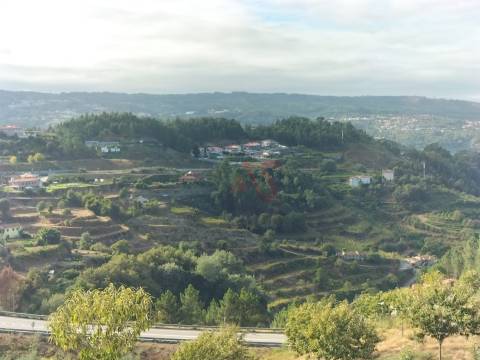Terreno Rústico com 18.384 m2 em São Martinho de Sardoura – Castelo de Paiva