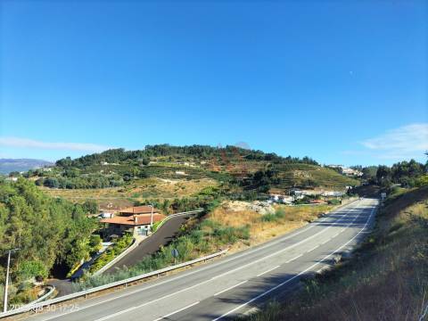 Terreno Rústico com 18.384 m2 em São Martinho de Sardoura – Castelo de Paiva