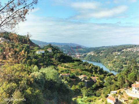 Terreno Rústico com 18.384 m2 em São Martinho de Sardoura – Castelo de Paiva