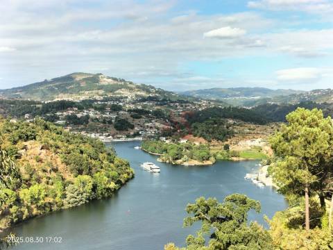 Terreno Rústico com 18.384 m2 em São Martinho de Sardoura – Castelo de Paiva