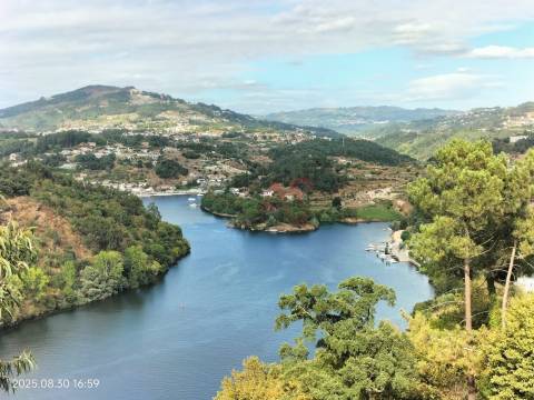 Terreno Rústico com 18.384 m2 em São Martinho de Sardoura – Castelo de Paiva