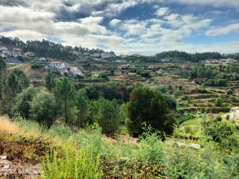 Terreno Rústico com 18.384 m2 em São Martinho de Sardoura – Castelo de Paiva