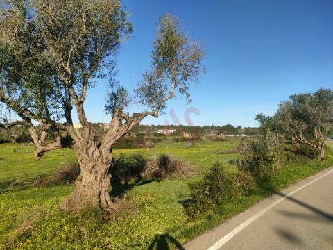 Terreno com uma área total de 24.070 m2 com 1 Bungalow T2 em Albufeira