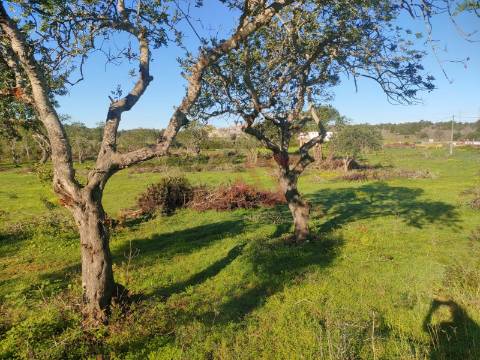 Terreno com uma área total de 24.070 m2 com 1 Bungalow T2 em Albufeira