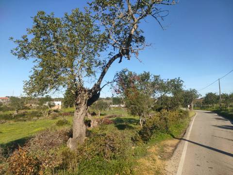 Terreno com uma área total de 24.070 m2 com 1 Bungalow T2 em Albufeira