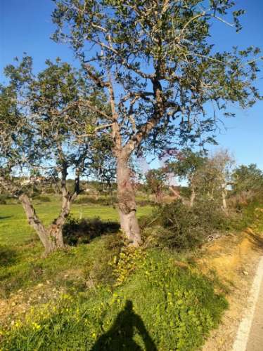 Terreno com uma área total de 24.070 m2 com 1 Bungalow T2 em Albufeira