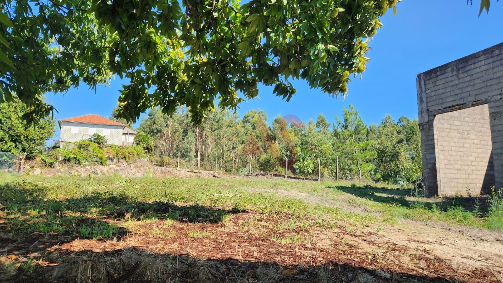 Terreno para construção com 3.000 m2 em Vilela, Paredes