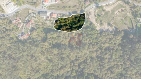 Terreno Rústico com 2.500 m² em Armil, Fafe