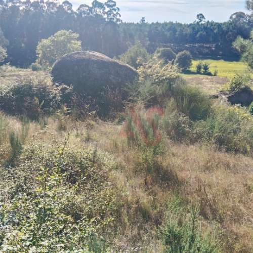 Moradia T3 para restaurar com terreno em Seidões, Fafe