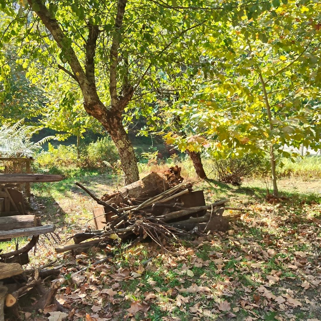 Quintinha com 12.770 m² em Barrosas - Santo Estêvão, Lousada