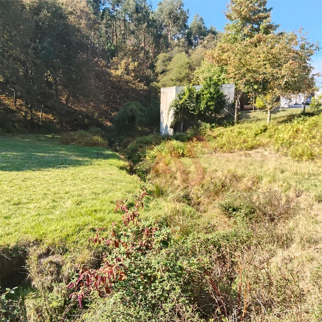 Quintinha com 12.770 m² em Barrosas - Santo Estêvão, Lousada