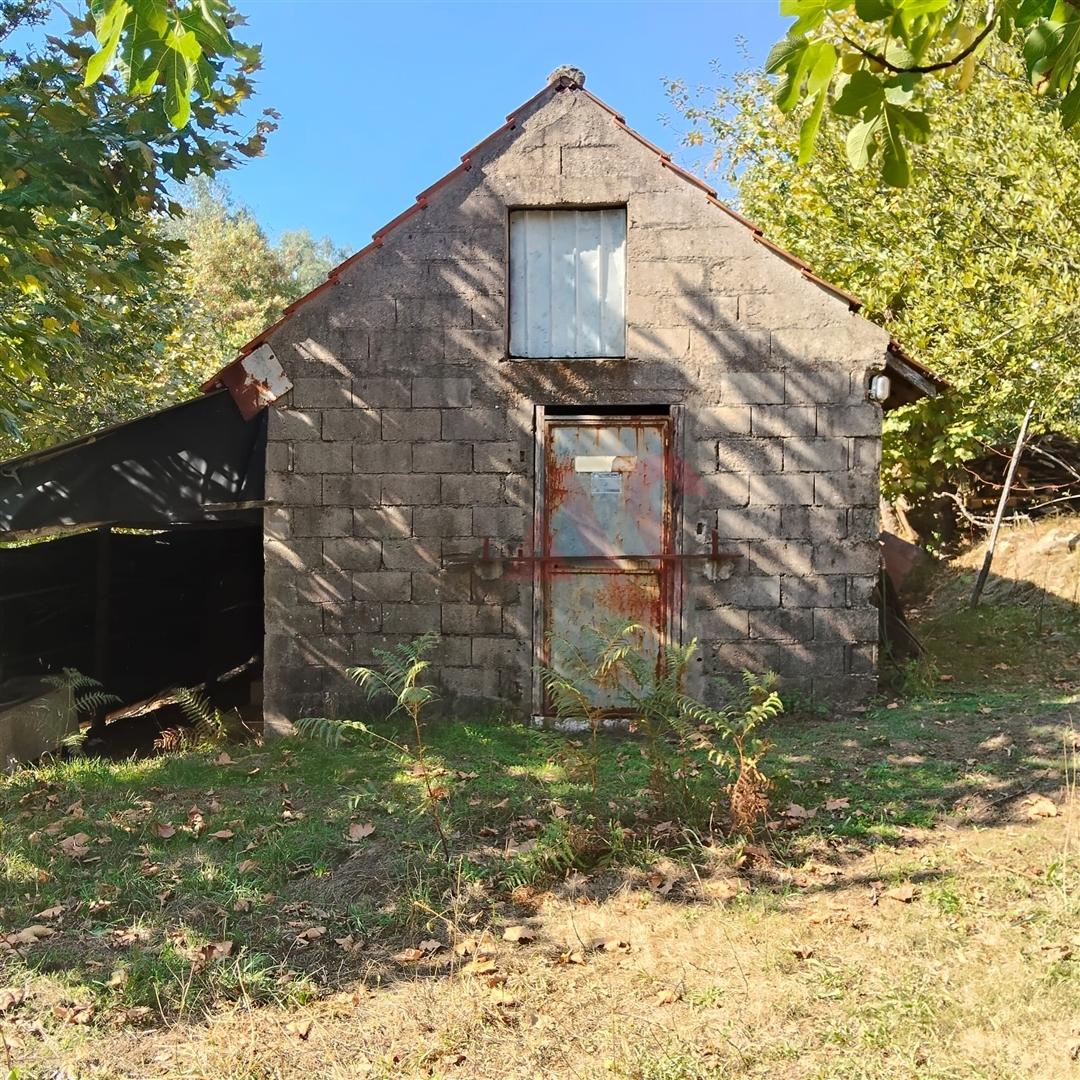 Quintinha com 12.770 m² em Barrosas - Santo Estêvão, Lousada