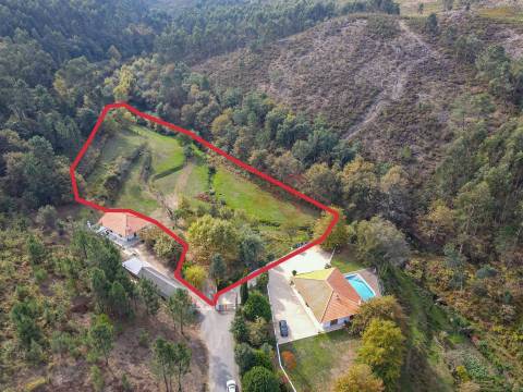 Quintinha com 12.770 m² em Barrosas - Santo Estêvão, Lousada