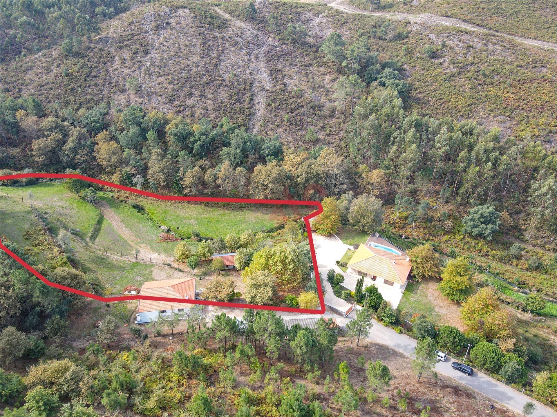 Quintinha com 12.770 m² em Barrosas - Santo Estêvão, Lousada