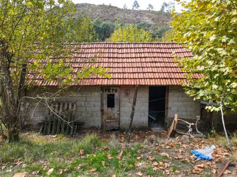 Quintinha com 12.770 m² em Barrosas - Santo Estêvão, Lousada