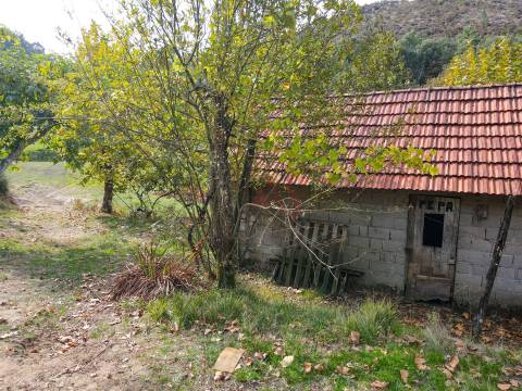 Quintinha com 12.770 m² em Barrosas - Santo Estêvão, Lousada