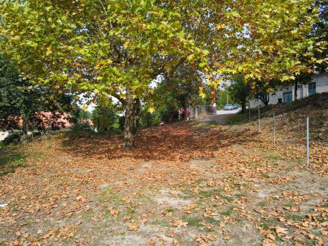 Quintinha com 12.770 m² em Barrosas - Santo Estêvão, Lousada