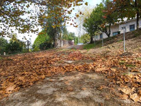 Quintinha com 12.770 m² em Barrosas - Santo Estêvão, Lousada