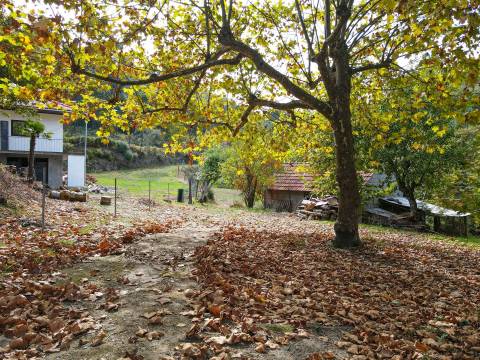 Quintinha com 12.770 m² em Barrosas - Santo Estêvão, Lousada