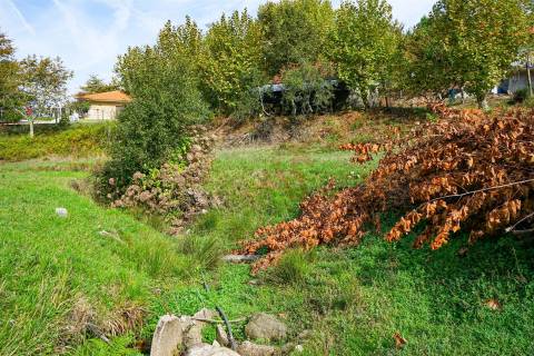 Quintinha com 12.770 m² em Barrosas - Santo Estêvão, Lousada