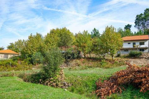 Quintinha com 12.770 m² em Barrosas - Santo Estêvão, Lousada