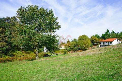 Quintinha com 12.770 m² em Barrosas - Santo Estêvão, Lousada