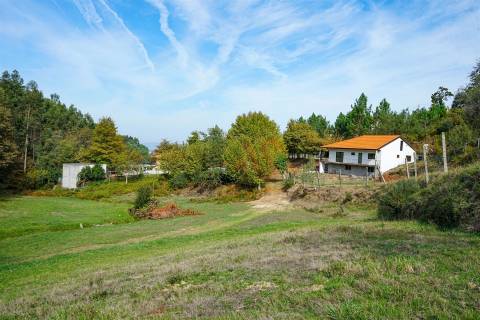 Quintinha com 12.770 m² em Barrosas - Santo Estêvão, Lousada