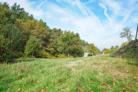 Quintinha com 12.770 m² em Barrosas - Santo Estêvão, Lousada