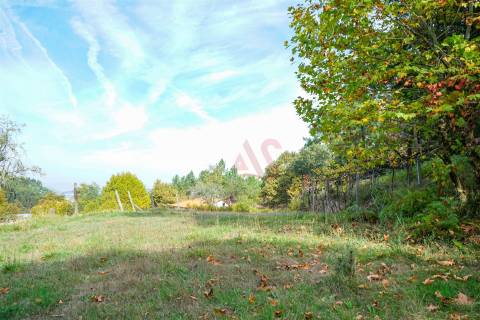 Quintinha com 12.770 m² em Barrosas - Santo Estêvão, Lousada