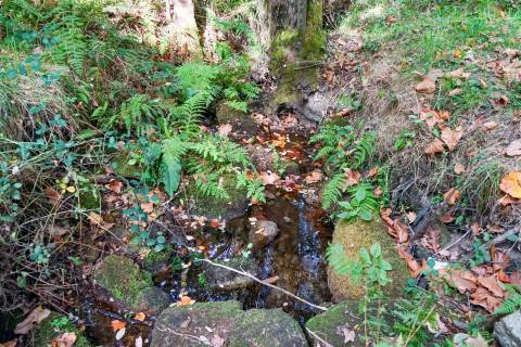 Quintinha com 12.770 m² em Barrosas - Santo Estêvão, Lousada