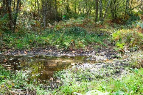 Quintinha com 12.770 m² em Barrosas - Santo Estêvão, Lousada