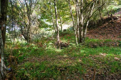 Quintinha com 12.770 m² em Barrosas - Santo Estêvão, Lousada