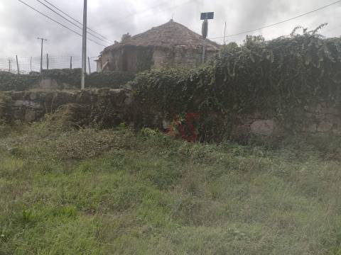 Quinta com 33.206 m² em Casais, Lousada