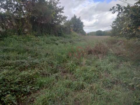 Quinta com 33.206 m² em Casais, Lousada