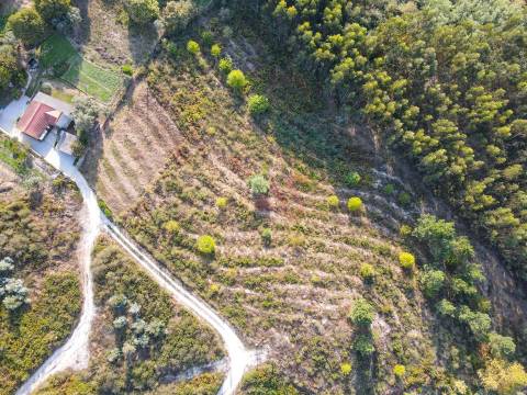 Terreno Rústico com 8.250 m² em Travanca, Amarante