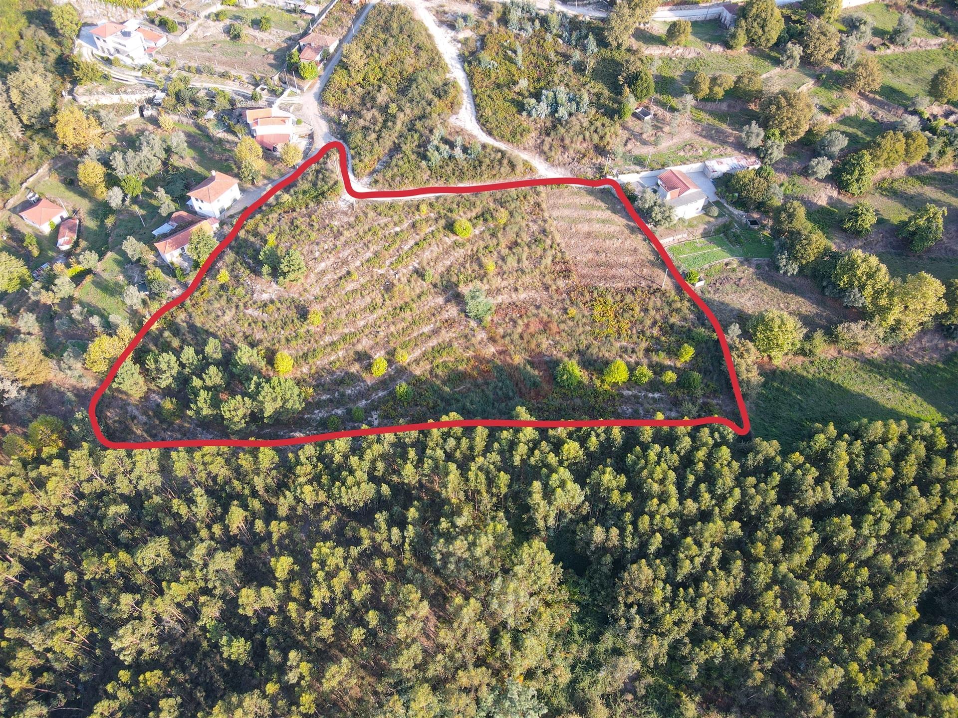 Terreno Rústico com 8.250 m² em Travanca, Amarante