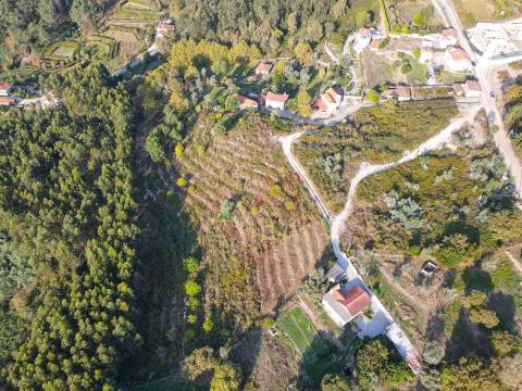 Terreno Rústico com 8.250 m² em Travanca, Amarante