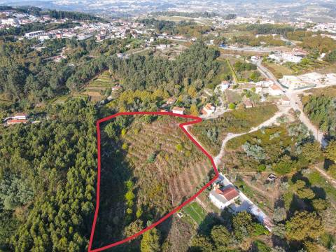 Terreno Rústico com 8.250 m² em Travanca, Amarante