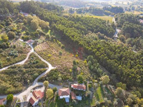 Terreno Rústico com 8.250 m² em Travanca, Amarante