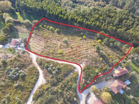 Terreno Rústico com 8.250 m² em Travanca, Amarante