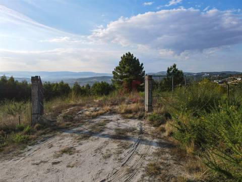 Terreno Rústico com 8.250 m² em Travanca, Amarante
