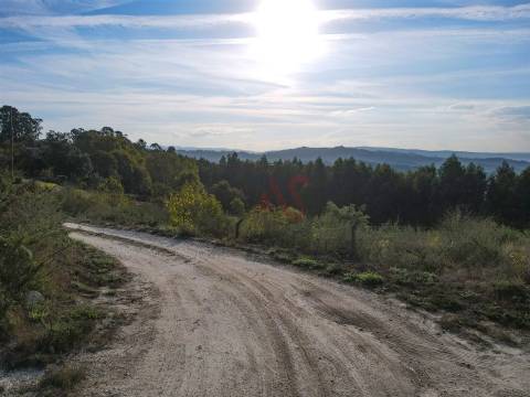Terreno Rústico com 8.250 m² em Travanca, Amarante